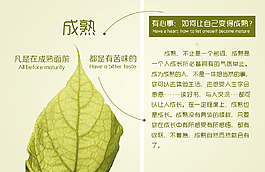 树叶