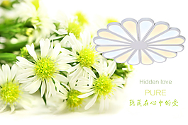 LED時(shí)尚吸頂燈