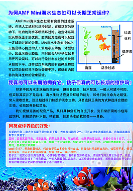 生態(tài)魚缸宣傳彩頁圖片