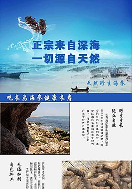 海參詳情頁(yè)