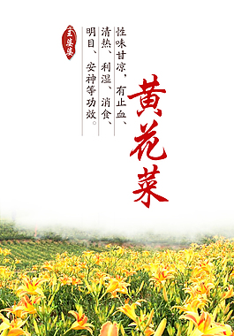 黃花菜 金針菇詳情頁(yè)