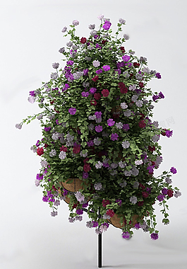 花架圖片
