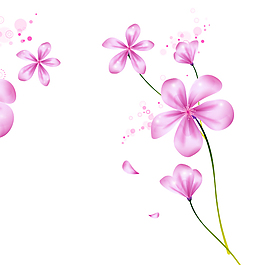 花卉
