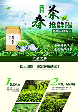 信陽毛尖春茶綠色詳情淘寶psd設計