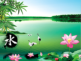 夏日荷塘素材