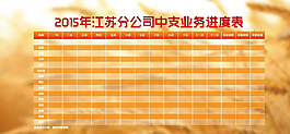 中支业务进度表图片