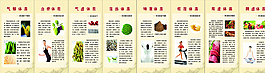 八大體質(zhì)圖片