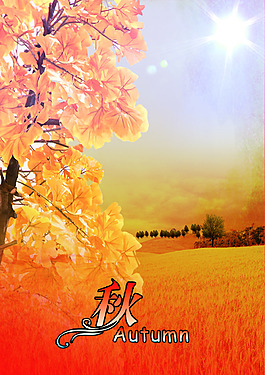 秋天的麥田