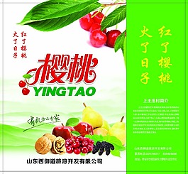 櫻桃手提袋2