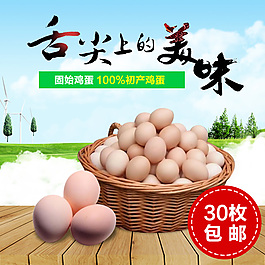 舌尖上的美味  鸡蛋