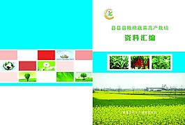封面