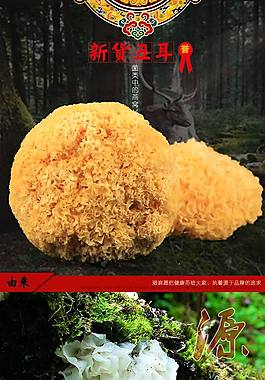 小银耳详情页