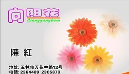 名片模板 精品花店 平面設(shè)計(jì)_0290