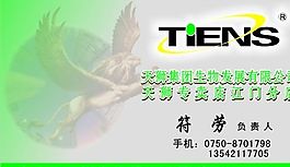 名片模板 美容美發(fā) 平面設(shè)計(jì)_0359