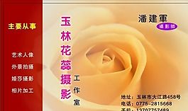 名片模板 花卉礼品 平面设计_0894