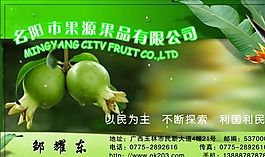 名片模板 蔬菜水果 平面設(shè)計(jì)_0969
