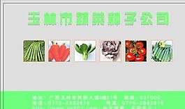 名片模板 蔬菜水果 平面設(shè)計(jì)_0977