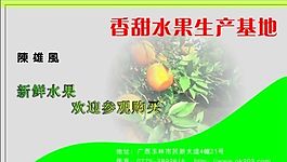 名片模板 蔬菜水果 平面設(shè)計(jì)_0978