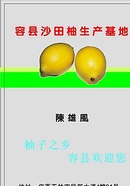 名片模板 蔬菜水果 平面設(shè)計_0979