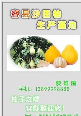 名片模板 蔬菜水果 平面設計_0988