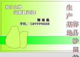 名片模板 蔬菜水果 平面設計_0989