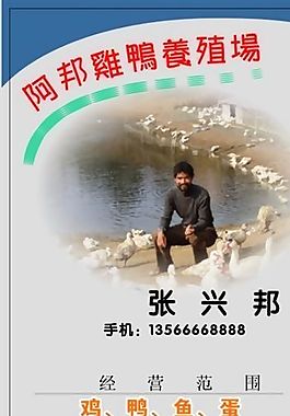 名片模板 農(nóng)林化工 平面設(shè)計(jì)_1542