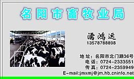 名片模板 農(nóng)林化工 平面設(shè)計(jì)_1551