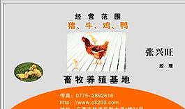 名片模板 农林化工 平面设计_1553