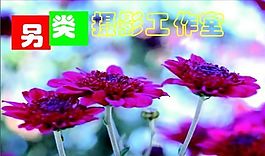 影視攝影 名片模板 CDR_1809