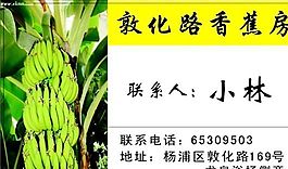 鮮花水果禮品類 名片模板 CDR_2182