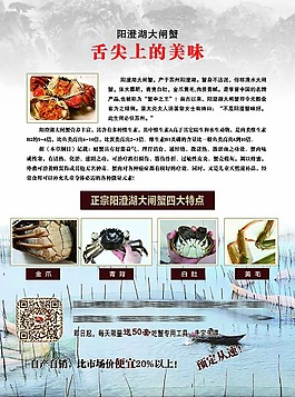 大閘蟹