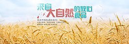 大自然麦田素材
