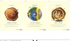中國房地產(chǎn)廣告年鑒 第一冊 創(chuàng)意設(shè)計_0040