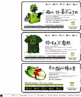 中國房地產(chǎn)廣告年鑒 第一冊 創(chuàng)意設(shè)計(jì)_0062