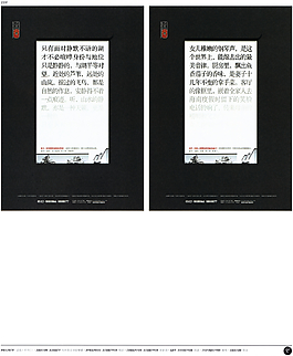 中國房地產(chǎn)廣告年鑒 第一冊 創(chuàng)意設(shè)計_0113