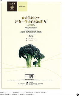 中國房地產(chǎn)廣告年鑒 第一冊 創(chuàng)意設計_0122