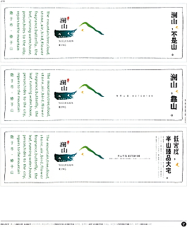 中國(guó)房地產(chǎn)廣告年鑒 第二冊(cè) 創(chuàng)意設(shè)計(jì)_0260