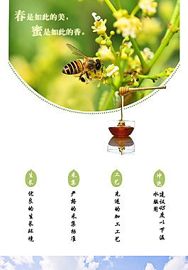 蜂蜜詳情頁