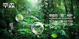 森林绿色植物森林绿色植物亚马逊热带雨林