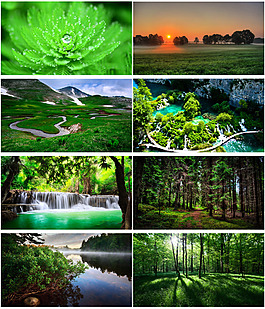 綠色植物風(fēng)景