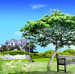 野外大樹