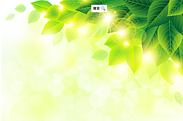 夢幻春天綠葉光暈背景矢量素材