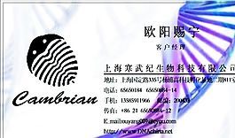 網(wǎng)絡(luò)科技類 名片模板 CDR_2930