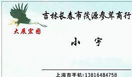 醫(yī)療醫(yī)藥類 名片模板 CDR_3611