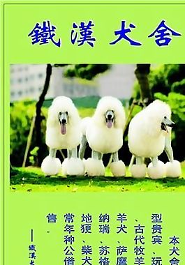 寵物類 名片模板 CDR_4456