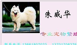 寵物類 名片模板 CDR_4498