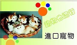 寵物類 名片模板 CDR_4515