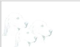 寵物類 名片模板 CDR_4519
