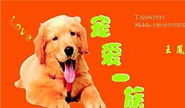 寵物類(lèi) 名片模板 CDR_4534