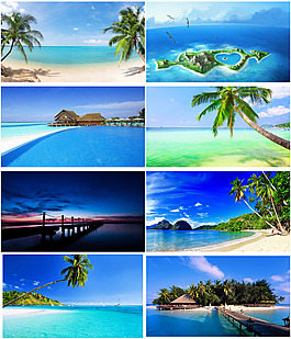 浪漫海濱背景